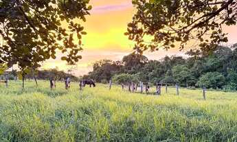 Imagem 3: Escolha sua terra na beira do Rio Dourados em Hidrolândia - oportunidade de ouro