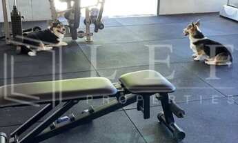 Imagem 6: Linda propriedade pé na areia, maravilhosa vista, Japaratinga AL !