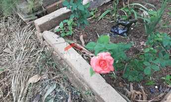 Imagem 4: Casa em Rua Maura Carvalho - Morada Nova - Uberlândia/MG