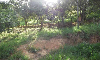 Imagem 7: Fazendinha rural de 6.5 ha, Jaboticatubas (Temos varias opções