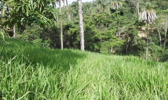 Imagem 4: Fazendinha rural de 6.5 ha, Jaboticatubas (Temos varias opções