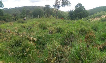 Imagem 5: Excelente oportunidade terreno rural de 13 hectares, Jaboticatubas(Temos varias opções