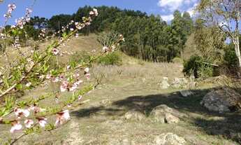 Imagem: Lindo Sítio de 24.000m², no Bairro Torres