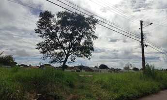 Imagem 3: 10 Lotes de 360,00m² (Asfalto, Agua e Esgoto) Bairro Ilda