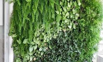 Imagem 7: Apartamento em Menino Deus