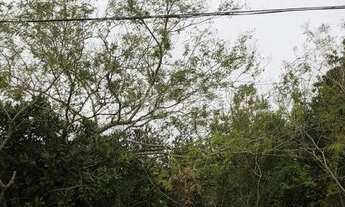 Imagem: Terreno em Aberta dos Morros