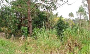 Imagem 3: Paisagem Renoir - Cotia/SP