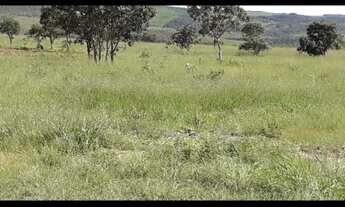 Imagem 3: Vende-se uma excelente fazenda de 350 Alqueires