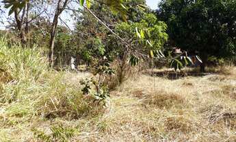 Imagem 5: Chácara com 2 piscinas