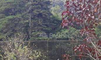 Imagem 6: Sítio com 14.000 m² por R$ 2.500.000 - Albuquerque - Teresópolis/RJ