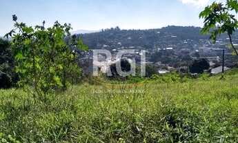 Imagem 4: Terreno em Aberta dos Morros