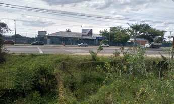 Imagem 4: Casa em Querência