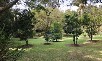 Imagem 4: GRANJA VIANA - MILO DA GRANJA - RUA FECHADA