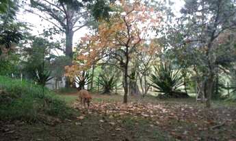 Imagem 3: Casa 4 dormitórios em Viamão