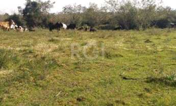 Imagem 5: Terreno em Padre Réus