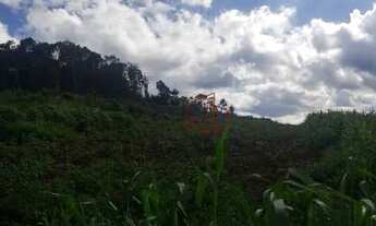 Imagem 4: Sítio no bairro Serra Grande em Gramado!