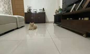 Imagem 2: Lindo apartamento central