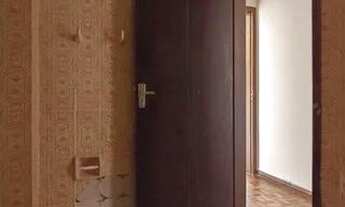 Imagem 5: Apartamento para Aluguel - Centro Cívico , 3 Quartos, 73 m2