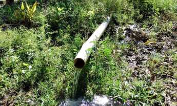 Imagem 3: Sítio 4,0 alqueires com muita água, Monte Alegre de Minas MG