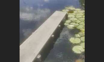 Imagem 5: Sítio com Rio Barreirinhas