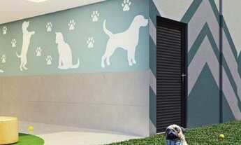 Imagem 5: Lançamento Jardim botânico casa Verde Amarela