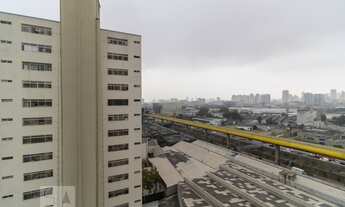 Imagem 6: Apartamento para Aluguel - Cambuci, 1 Quarto, 53 m2