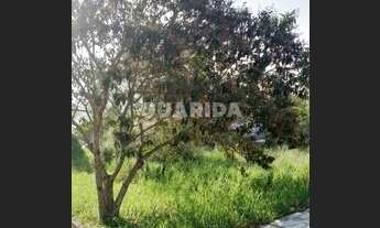 Imagem 7: Terreno plano Zona Sul Porto Alegre 239 m²