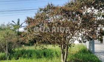 Imagem: Terreno plano Zona Sul Porto Alegre 239