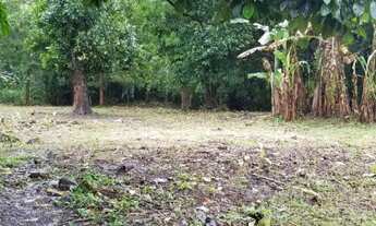 Imagem 5: Aldeia - Terreno Fora de Condomínio em Aldeia 1000m²