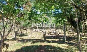 Imagem 3: SÍTIO EM CANELA