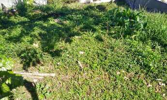 Imagem 5: EXCELENTE OFERTA LOTE CONDOMÍNIO FECHADO