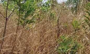 Imagem 7: Chácara em Jaraguá