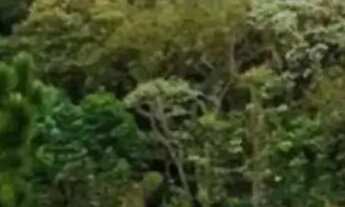 Imagem 5: Lotes para casa de campo no interior paulista