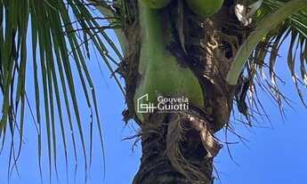 Imagem 7: Chácara 3 Alqueires à Venda Silvânia