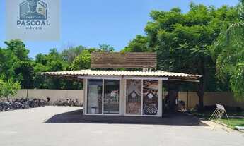 Imagem 5: Aluguel de Apartamento 2 Quartos no Parq Califórnia, Campos