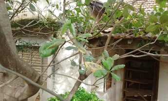 Imagem 4: Ótimo terreno com 20 metros de frente na Vila Imperial