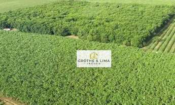 Imagem 4: Fazenda à venda, m² por R$ 210.000.000,00 - Zona Rural - Manga/MG