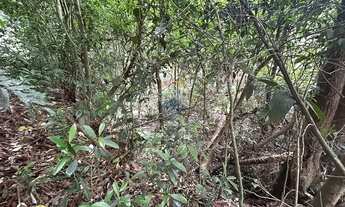 Imagem 2: Terreno Único em Mairiporã: Invista Já!