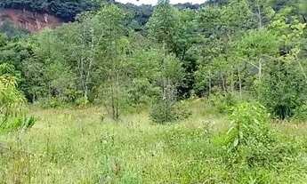 Imagem 4: Chácara 2 hectares valor 109,000,00 avista