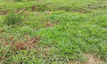 Imagem 2: Chácara laranjao-glaucilandia