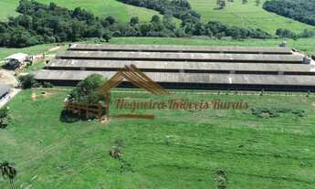 Imagem 5: Sítio com galpões de granja, 85 mil aves, área com 20,8 alqueires