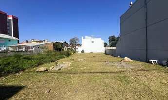 Imagem: Terrenos - Vinhedos