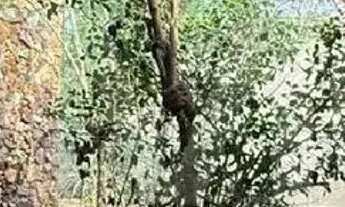 Imagem 7: Casa à venda no KM-2'