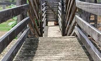 Imagem 5: Vendo sítio na região de Goiás velho preço muito bom