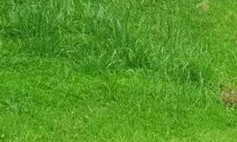 Imagem 2: Terreno em Condomínio para Venda em Cotia, Jardim Torino Village Los Angeles