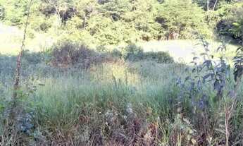 Imagem 2: Três Chácaras,no Sítio Boa Vista, em Viçosa - MG