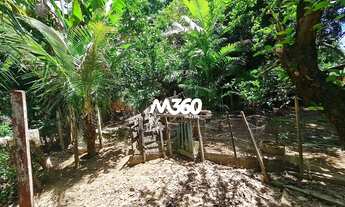 Imagem 3: Chácara à venda, Parque das Nações, Aparecida de Goiânia, GO