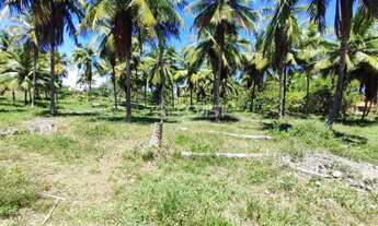 Imagem 7: VENDA / INCORPORAÇÃO - ÁREA PREMIUM DE 25.000 m² - OPORTUNIDADE ÚNICA