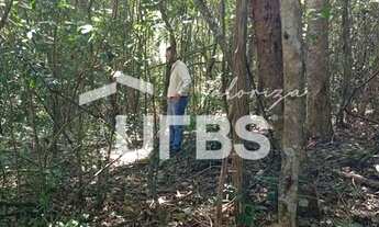 Imagem 6: Oportunidade de chacará com mata exuberante