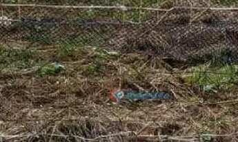Imagem 3: Terreno à venda - Jardim Mirandola - Americana/SP
